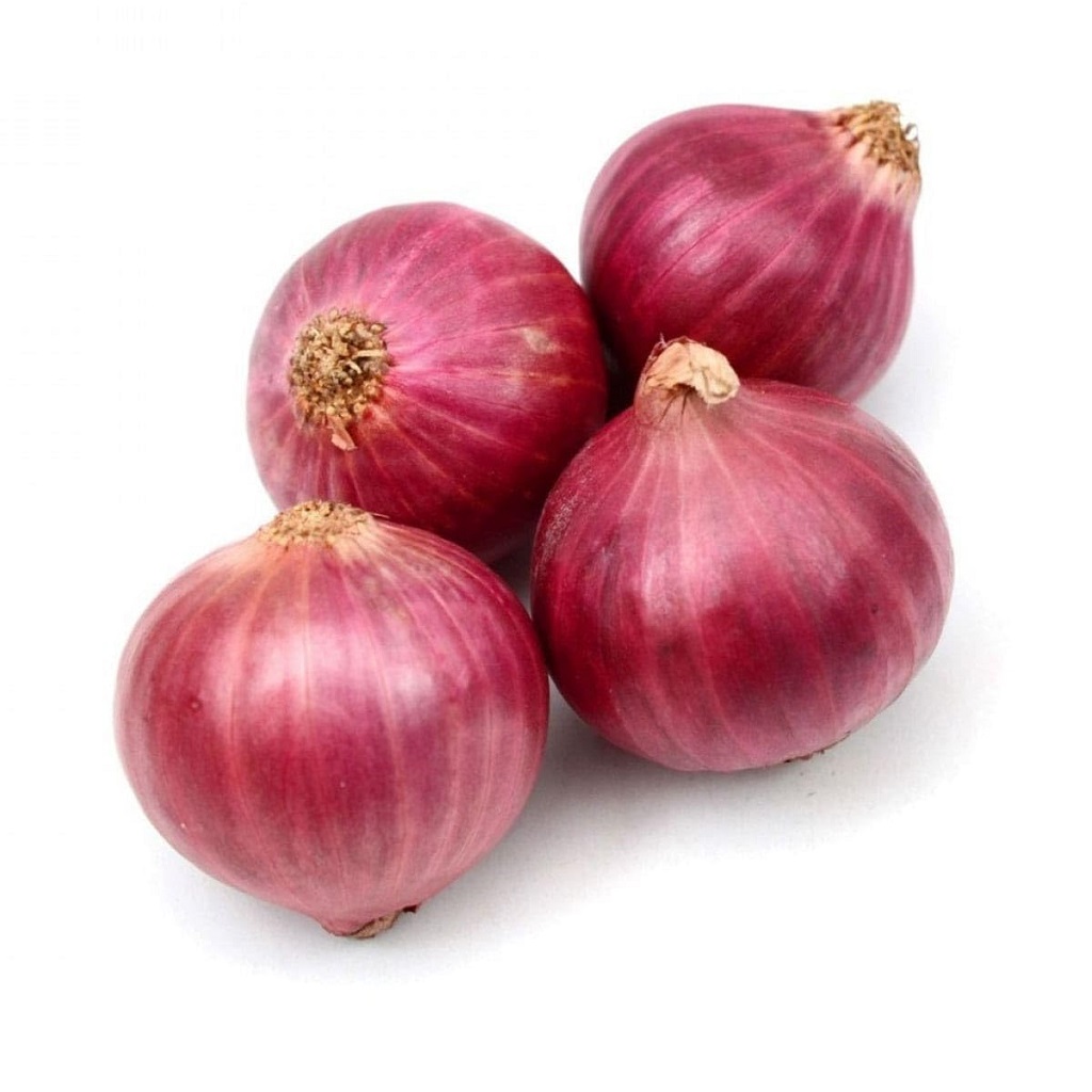 The Best Quality Red Onion Exporters in India