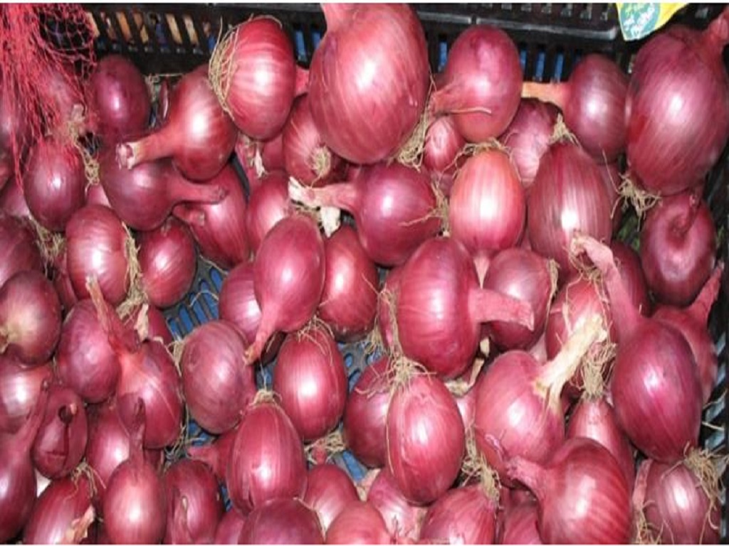 The Best Quality Red Onion Exporters in India